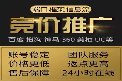 SEM推广实战：案例解析与策略探讨